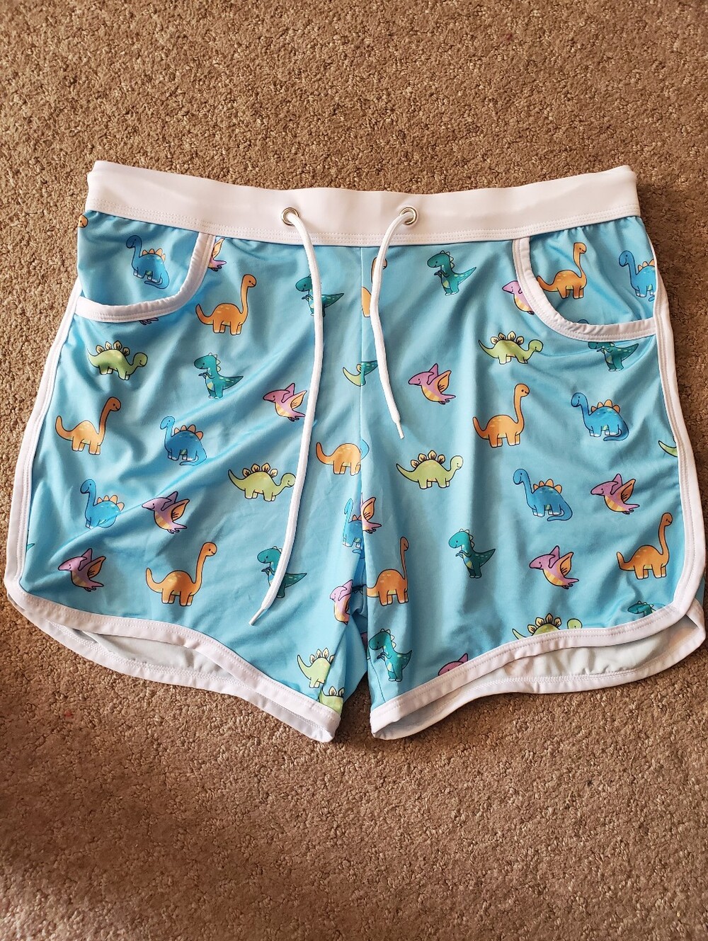 JJ  Malibu Light Blue Swim Trunks with Colorful Dinosaur Print
